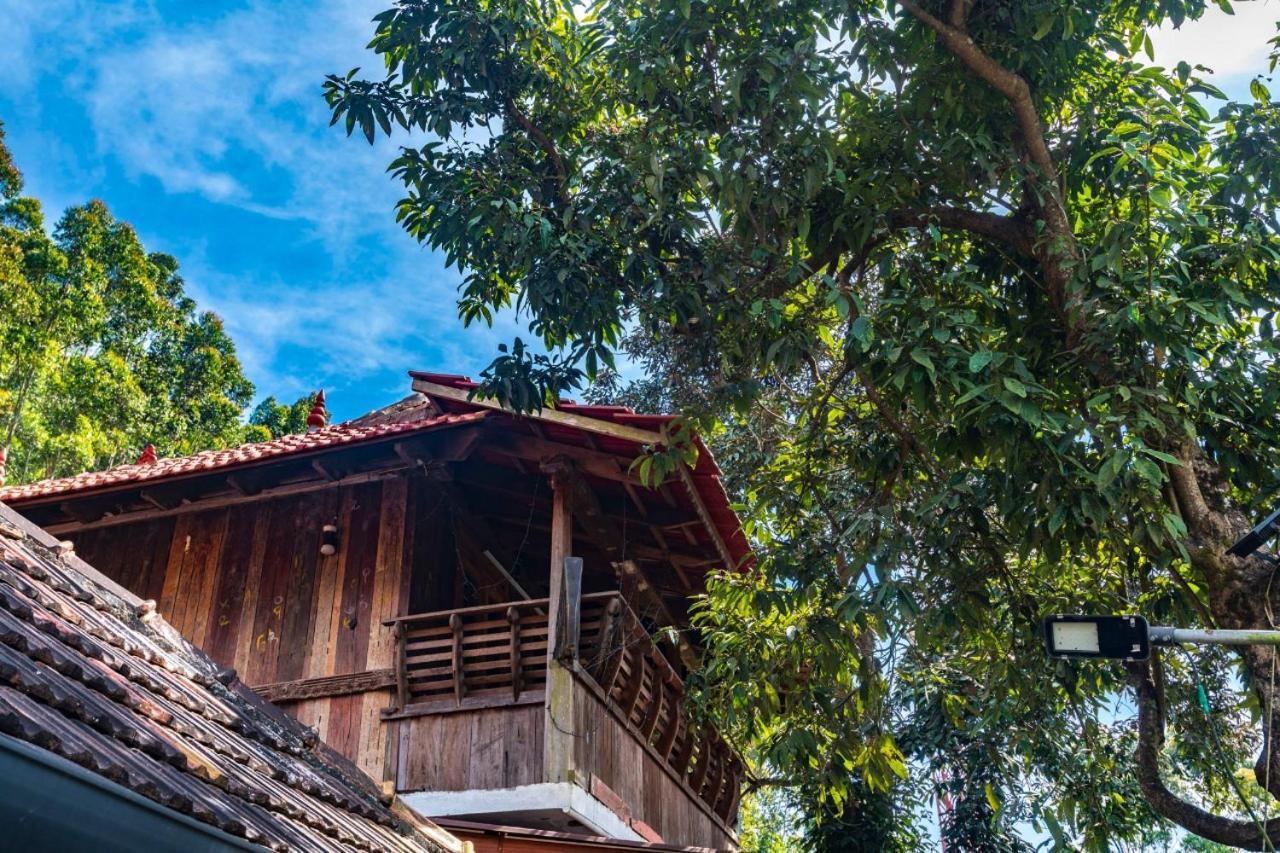 Castillo De Woods , The Private Luxury Villa , 8 Bhk, Vattavada Kottakamboor Exteriér fotografie
